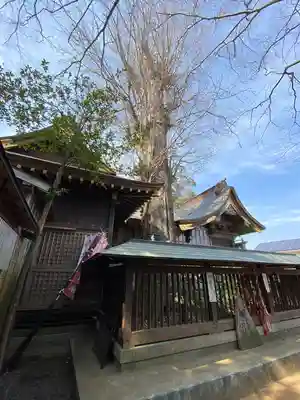 麻賀多神社の本殿・本堂