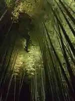 高台寺(高台寿聖禅寺・高臺寺)(京都府)