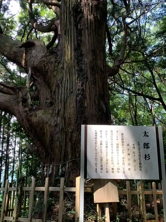 武生神社(茨城県)