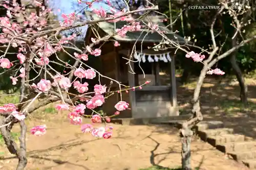 谷保天満宮の自然