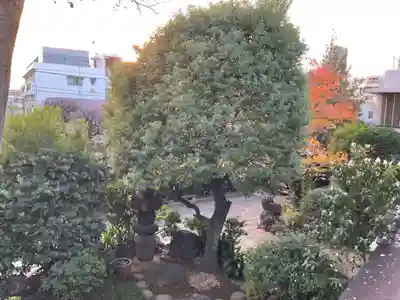 不動院(東京都)