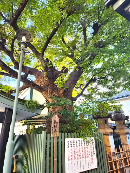 二宮神社の自然