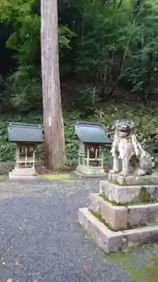 大川神社の狛犬