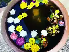 普賢寺の手水