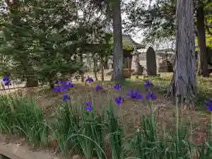 伏木香取神社(茨城県)(2024年04月28日(日) 16時42分02秒投稿)