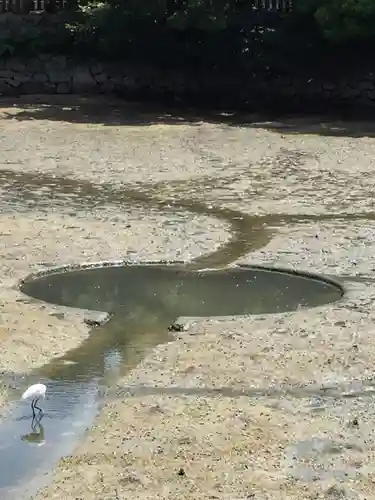 厳島神社の動物