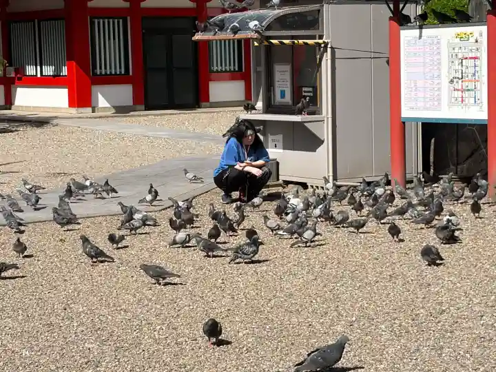 大須観音 (北野山真福寺宝生院)の{uncategorized: "未分類", other: "その他", undefined: "問題あり", building: "その他建物", grave: "お墓", sacred_gate: "鳥居", guardian: "狛犬", statue: "像", buddha: "仏像", history: "歴史", nature: "自然", garden: "庭園", animal: "動物", pagoda: "塔", temizu: "手水舎", mountain_gate: "山門・神門", sanctuary: "本殿・本堂", subordinate: "末社・摂社", art: "芸術", scenery: "景色", jizo: "地蔵", ema: "絵馬", goshuin: "御朱印", omikuji: "おみくじ", items: "授与品その他", amulet: "お守り", goshuincho: "御朱印帳", eats: "食事", festival: "お祭り", votive_dance: "神楽", shichigosan: "七五三参", wedding: "結婚式", experience: "体験その他", initially: "初詣", around: "周辺", anti_infection: "感染症対策"}