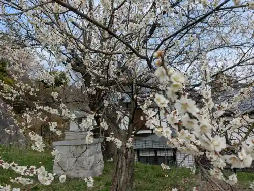 王子神社の{uncategorized: "未分類", other: "その他", undefined: "問題あり", building: "その他建物", grave: "お墓", sacred_gate: "鳥居", guardian: "狛犬", statue: "像", buddha: "仏像", history: "歴史", nature: "自然", garden: "庭園", animal: "動物", pagoda: "塔", temizu: "手水舎", mountain_gate: "山門・神門", sanctuary: "本殿・本堂", subordinate: "末社・摂社", art: "芸術", scenery: "景色", jizo: "地蔵", ema: "絵馬", goshuin: "御朱印", omikuji: "おみくじ", items: "授与品その他", amulet: "お守り", goshuincho: "御朱印帳", eats: "食事", festival: "お祭り", votive_dance: "神楽", shichigosan: "七五三参", wedding: "結婚式", experience: "体験その他", initially: "初詣", around: "周辺", anti_infection: "感染症対策"}