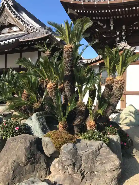 玄猷寺(愛知県)