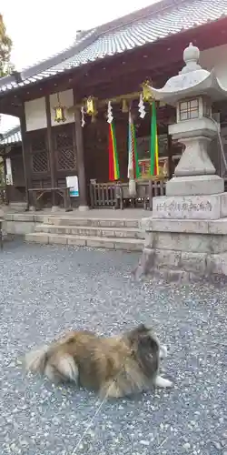 丹生官省符神社の動物