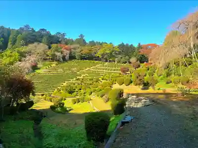 零羊崎神社の景色
