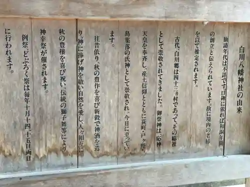 白川八幡神社の御朱印