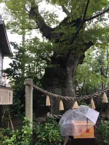 溝口神社のその他建物