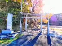 倭白山比咩神社(南出)の鳥居