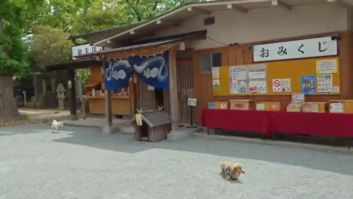 福島八幡宮の{uncategorized: "未分類", other: "その他", undefined: "問題あり", building: "その他建物", grave: "お墓", sacred_gate: "鳥居", guardian: "狛犬", statue: "像", buddha: "仏像", history: "歴史", nature: "自然", garden: "庭園", animal: "動物", pagoda: "塔", temizu: "手水舎", mountain_gate: "山門・神門", sanctuary: "本殿・本堂", subordinate: "末社・摂社", art: "芸術", scenery: "景色", jizo: "地蔵", ema: "絵馬", goshuin: "御朱印", omikuji: "おみくじ", items: "授与品その他", amulet: "お守り", goshuincho: "御朱印帳", eats: "食事", festival: "お祭り", votive_dance: "神楽", shichigosan: "七五三参", wedding: "結婚式", experience: "体験その他", initially: "初詣", around: "周辺", anti_infection: "感染症対策"}