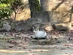 伊勢の国 四天王寺の動物