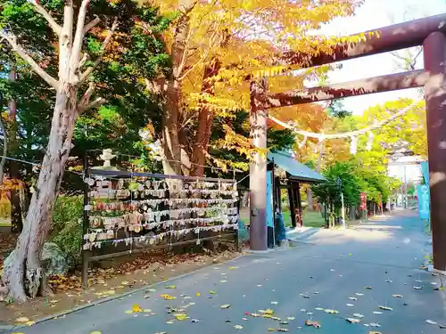 月寒神社の鳥居