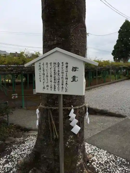 西寒多神社(大分県)