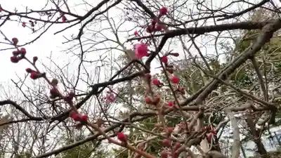 帰厚院(北海道)
