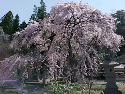 南湖神社の{uncategorized: "未分類", other: "その他", undefined: "問題あり", building: "その他建物", grave: "お墓", sacred_gate: "鳥居", guardian: "狛犬", statue: "像", buddha: "仏像", history: "歴史", nature: "自然", garden: "庭園", animal: "動物", pagoda: "塔", temizu: "手水舎", mountain_gate: "山門・神門", sanctuary: "本殿・本堂", subordinate: "末社・摂社", art: "芸術", scenery: "景色", jizo: "地蔵", ema: "絵馬", goshuin: "御朱印", omikuji: "おみくじ", items: "授与品その他", amulet: "お守り", goshuincho: "御朱印帳", eats: "食事", festival: "お祭り", votive_dance: "神楽", shichigosan: "七五三参", wedding: "結婚式", experience: "体験その他", initially: "初詣", around: "周辺", anti_infection: "感染症対策"}