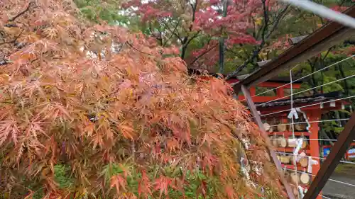 大原野神社(京都府)