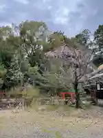 新熊野神社の自然