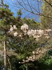 彌都加伎神社の自然