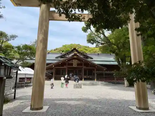 猿田彦神社の鳥居