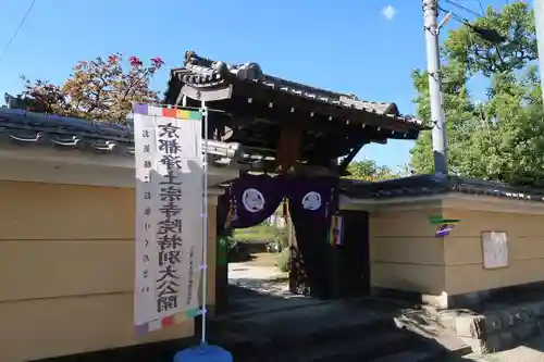 妙光寺(京都府)