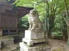 石座神社の狛犬