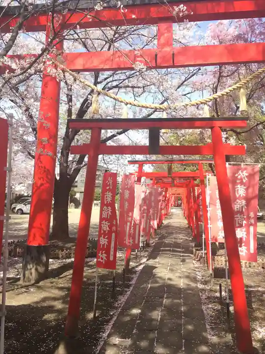 於菊稲荷神社の鳥居
