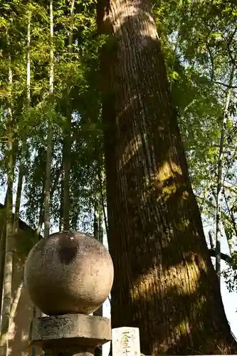 朝倉神社(高知県)