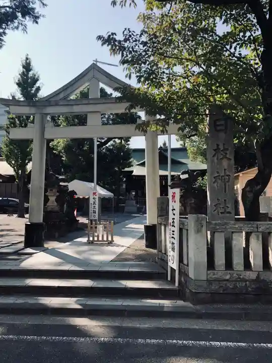 お三の宮日枝神社(神奈川県)