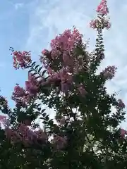 大生郷天満宮の自然