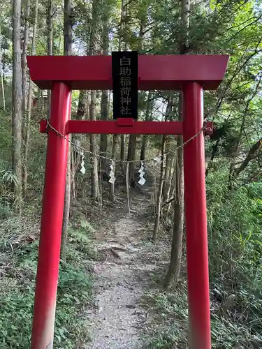 白助稲荷神社(福島県)