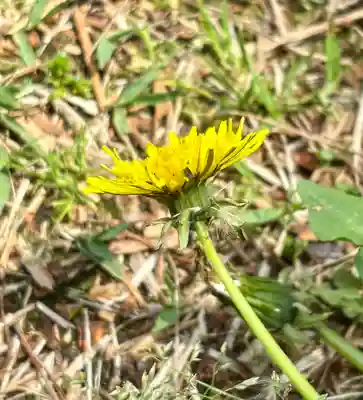 蚊里田八幡宮(長野県)