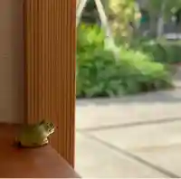 普元寺のその他建物