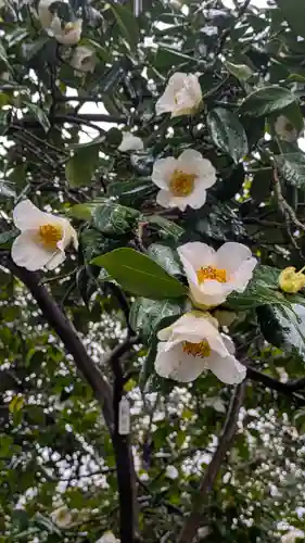 城南宮(京都府)