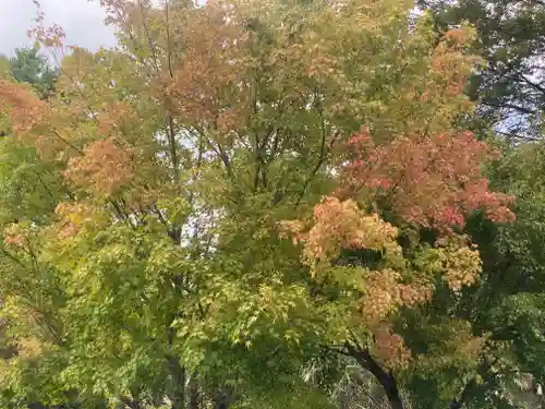 英彦山神宮(福岡県)