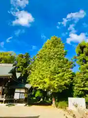 女化神社の建物その他