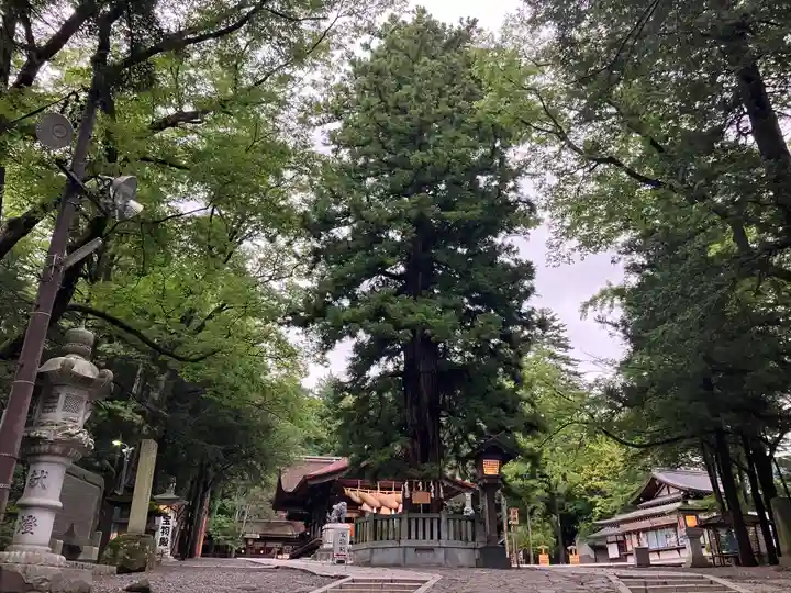 諏訪大社下社秋宮(長野県)