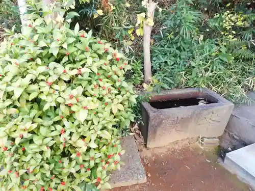 藏王高根神社の手水舎