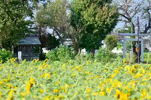 天照皇大神宮(神奈川県)
