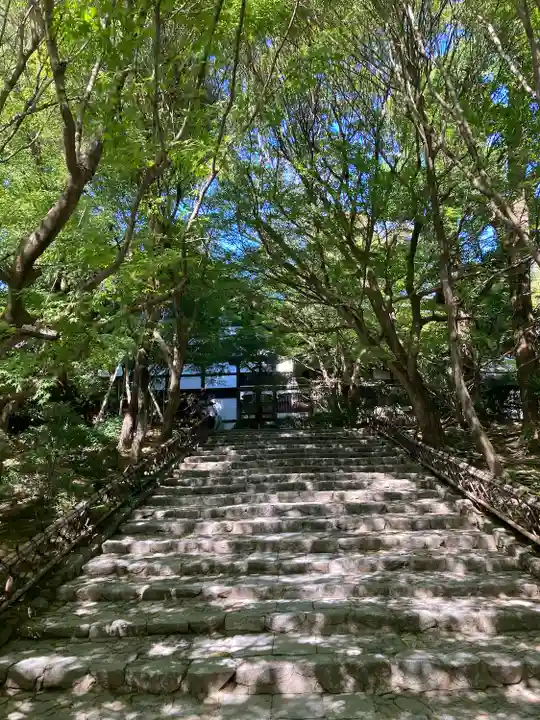 龍安寺(京都府)