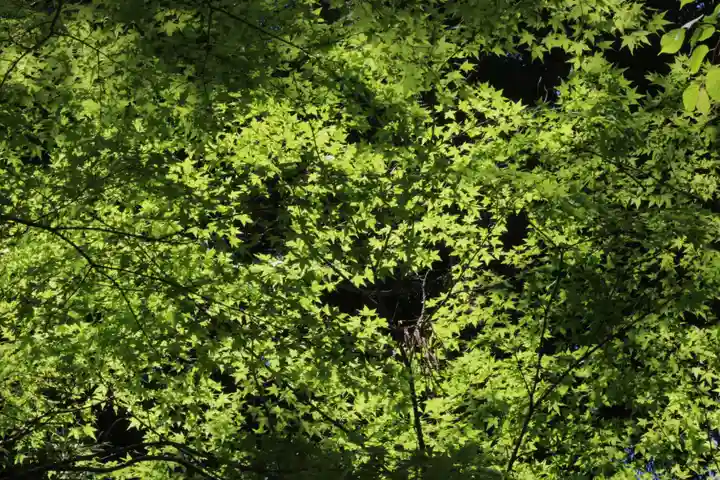 国宝 大法寺(長野県)