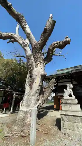 金岡神社(大阪府)