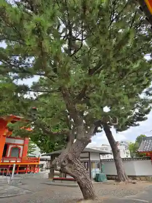 鴨江寺(静岡県)