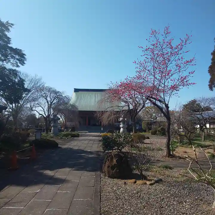 善導寺の本殿・本堂