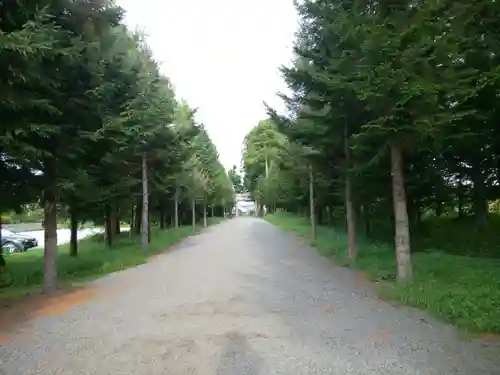 八雲神社の景色