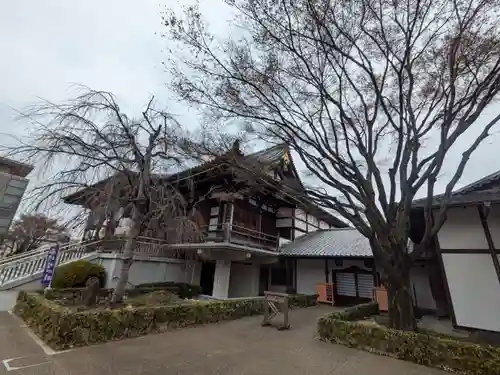 伝通院(東京都)
